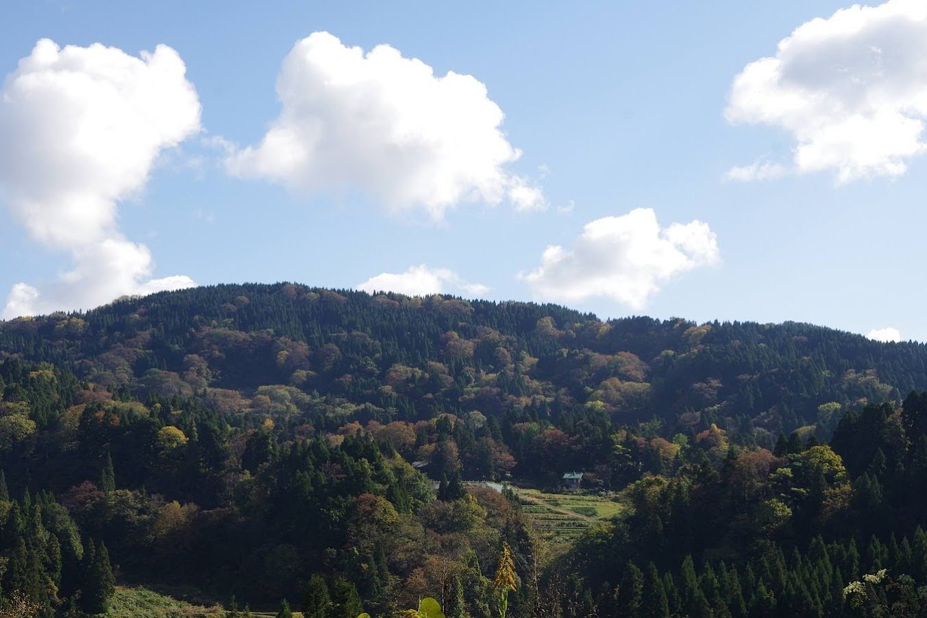 山のホムサ　シェアする空間　新潟県上越市牧区高尾　シゴトバカタログbyあどば