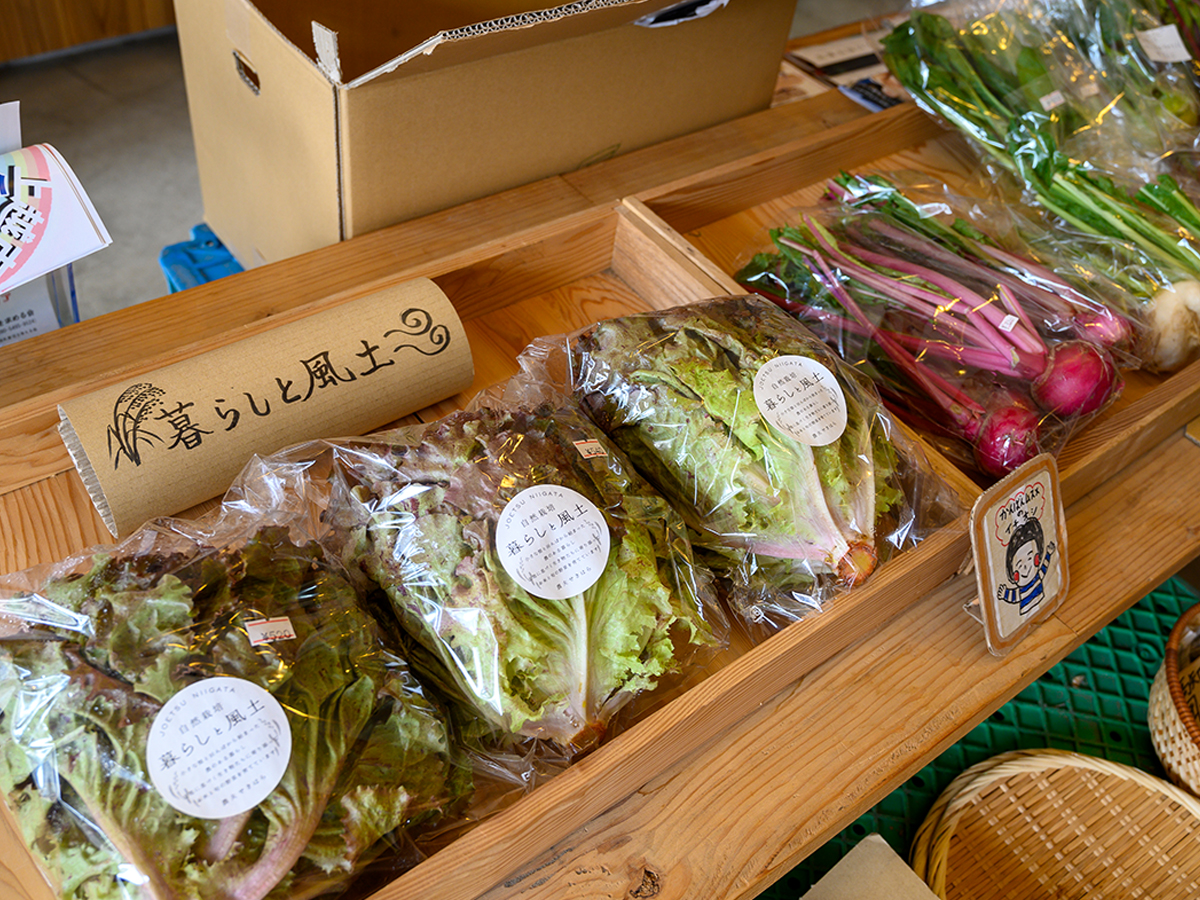 上越市　八百屋の土田　無農薬野菜販売　八百屋　Uターン