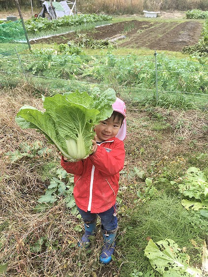 緑とくらしの学校　てくてく　畑の日　シゴトバカタログbyあどば