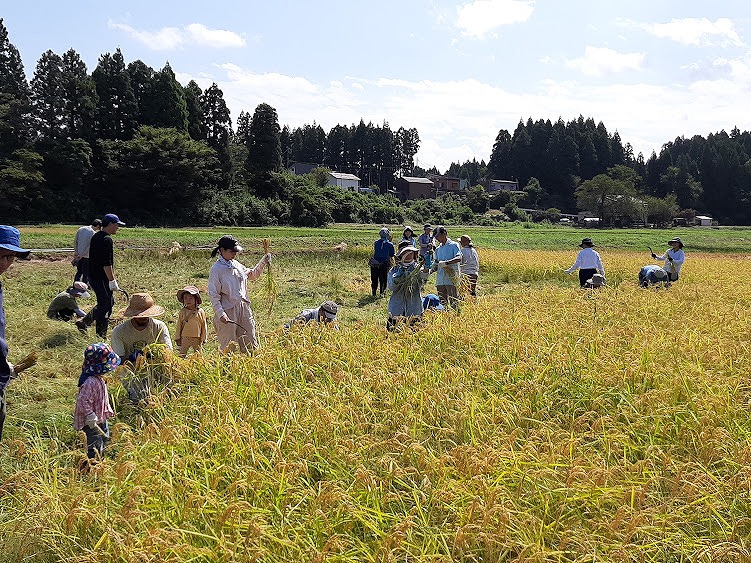 緑とくらしの学校　てくてく　田んぼの日　シゴトバカタログbyあどば