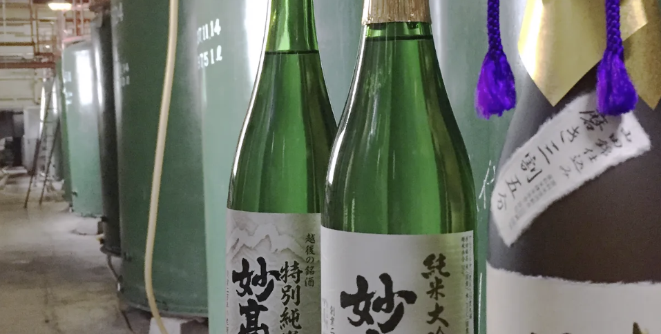 特集 上越市 妙高市 糸魚川市 柏崎市 求人情報